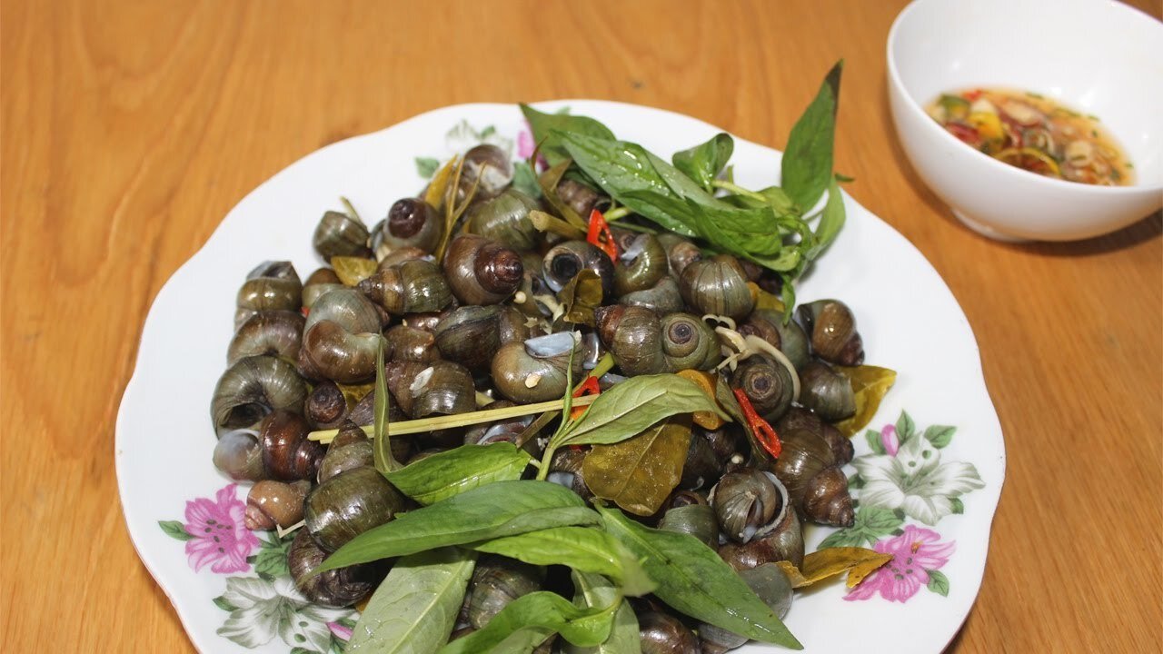 Embrace the vibrant spirit of Tien Giang Travel culinary adventures